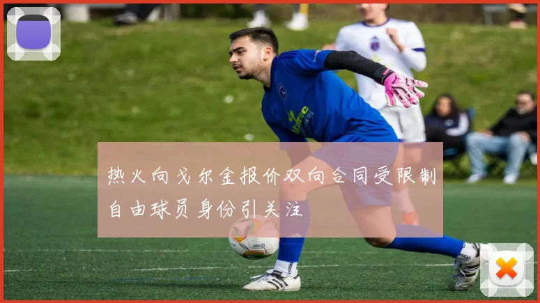 热火向戈尔金报价双向合同受限制自由球员身份引关注